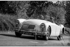P6A5139-copie