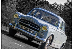 P6A5143-copie