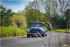 P6A5156-copie