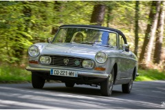 P6A5423-2-copie1-copie