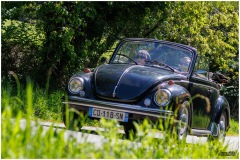 P6A5702-copie