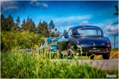 P6A5793-copie