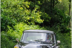 P6A1230-copie