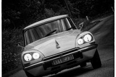 P6A1254-copie