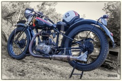 P6A1838-copie