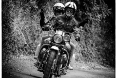 P6A3498-copie1
