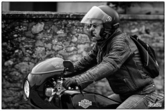 P6A3561-copie