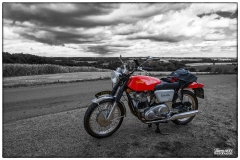 P6A3746-copie-2