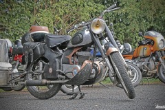 IMG_2921-002
