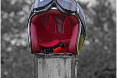 IMG_2923-002