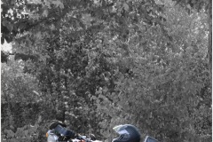 IMG_2940-002