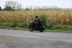 IMG_3153-002