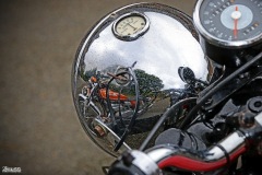 IMG_3203-002