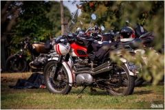73