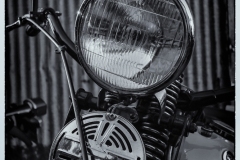 MG_5554-copie