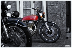 MG_5560-copie1