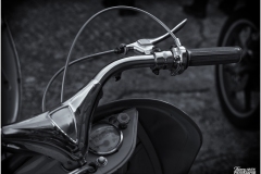 MG_5563-copie