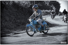 MG_5648-copie-1