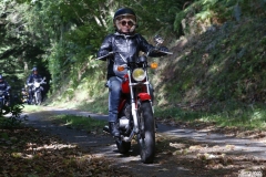 MG_5716-copie