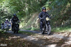 MG_5724-copie