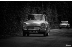 MG_3626-copie2
