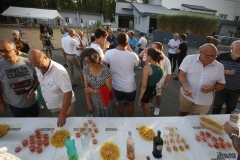 MG_4572-copie